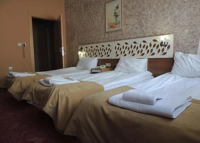 فندق Ragbet إسكيشير